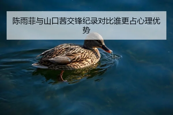 陈雨菲与山口茜交锋纪录对比谁更占心理优势
